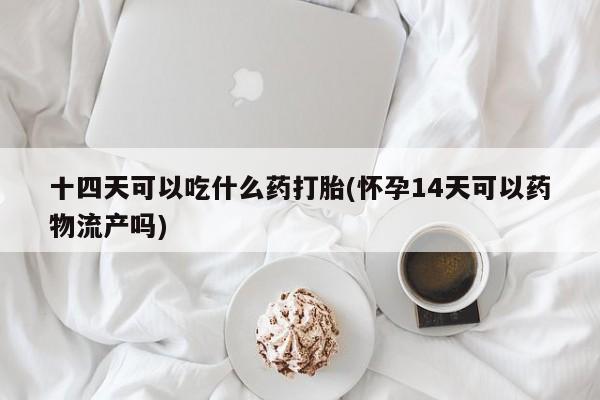 打胎药购买方式十四天可以吃什么药打胎(怀孕14天可以药物流产吗)